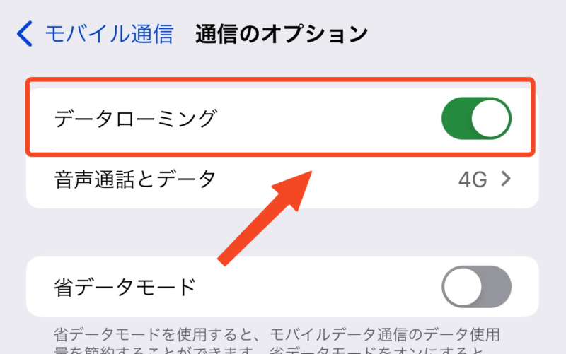 データローミング