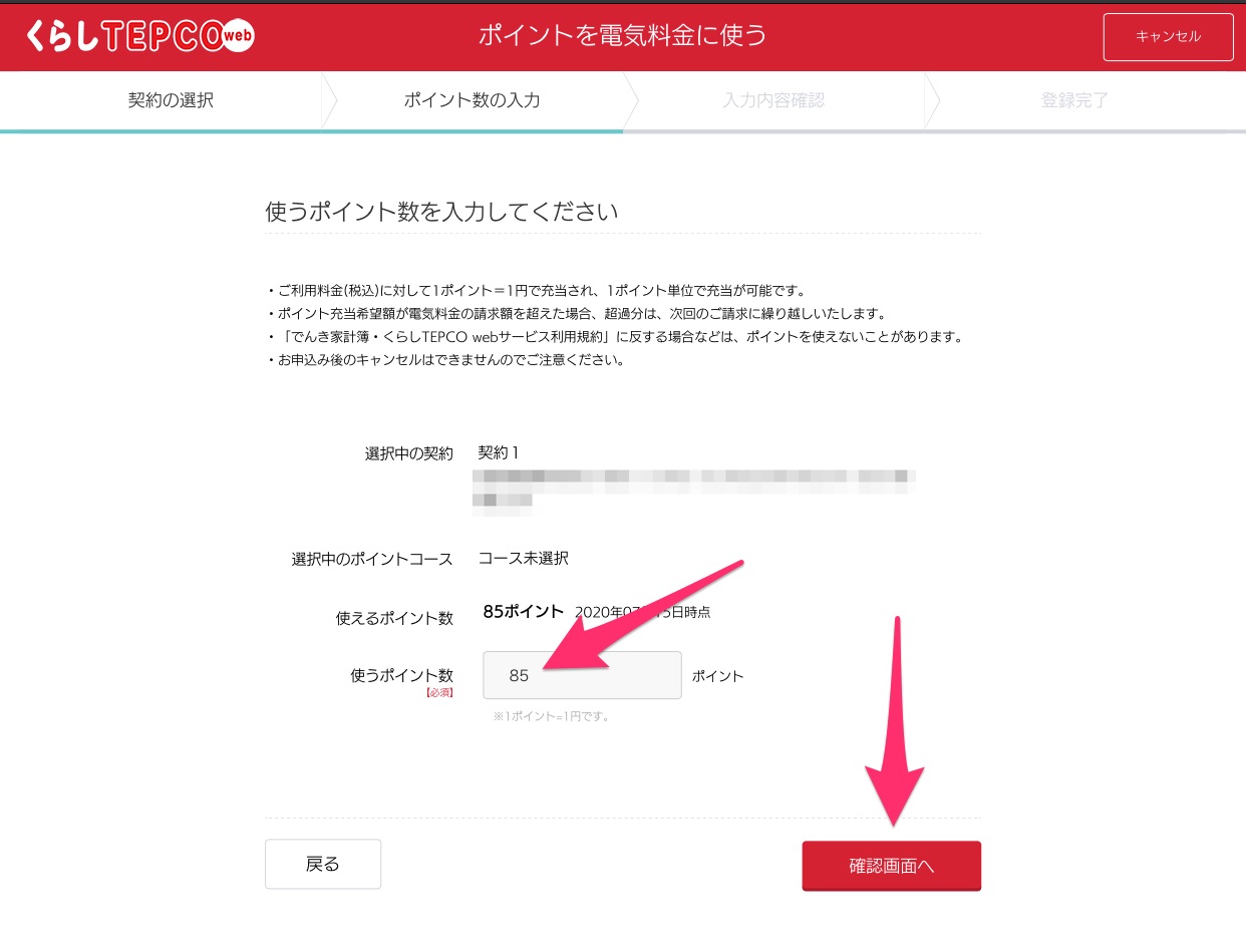 使うポイント数を入力してください