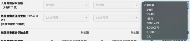 人身傷害保険金額