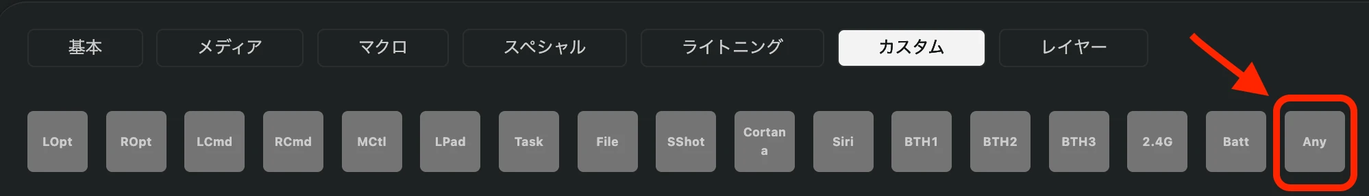 カスタムのAny