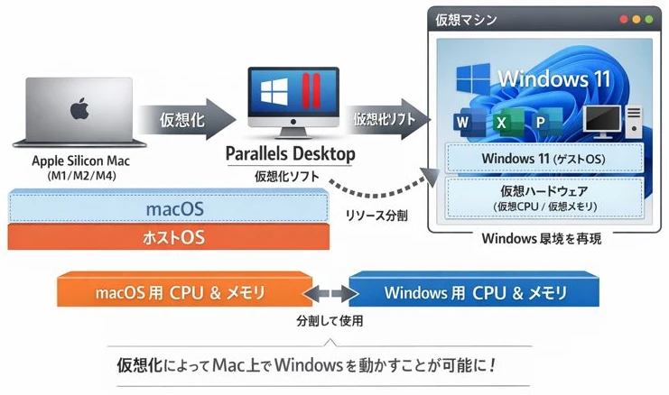 【2025年最新】Mac mini M4 / M2 / M1 にWindows11を入れる方法｜Parallelsとライセンス完全解説