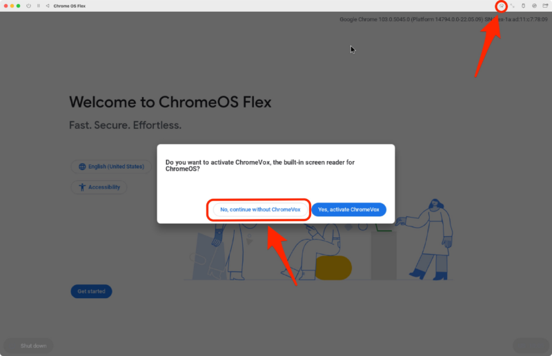 No, continue without ChromeVox
